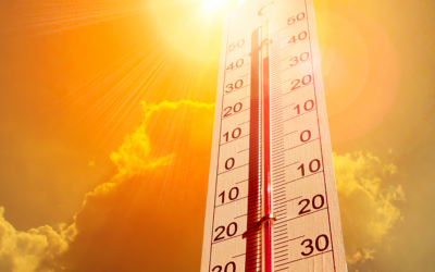 SVdP to open cooling center during heat wave